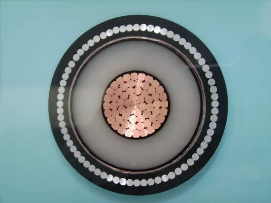 Cavo Corrente Cavo Rame Monocon Da 50 AMP, Sezione Sottile, Per Impianti 12V /24V, Colori Rosso/Nero/Marrone Tubo Freno Ape 50 - Foto 11